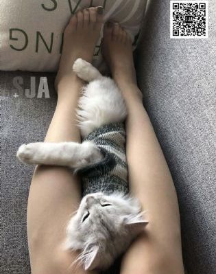年轻的女教师2免费观看_DVD在线观看完整版